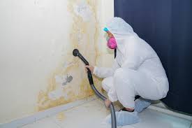 Why You Should Choose Our Mold Remediation Services in Midtown, TN